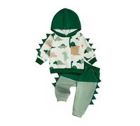 Toddler Infant Baby Boy Fall Outfits Dinosaur Print Long Sleeve Hoodies Elastic Waist Long Pants 2 Pcs Set Newborn Baby Animal Print Hoodie Pants (Green, 12-18 Months)