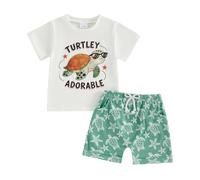 Toddler Infant Baby Boy Spring Summer Outfit Short Sleeve Cartoon Embroidery T shirt Top and Elastic Waist Shorts 2 Piece Tracksuit Sets Baby Clothes for Little Boys (White Tortoise, 2-3 Years)