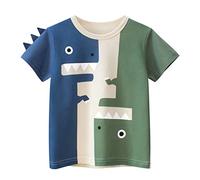 Toddler Kids Baby Boys Dinosaur Shirts Short Sleeve Crewneck T Shirts Outfit Tops Tee Funny Clothes for Children Boy Toddler Ballet Outfit (Army Green, 2-3 Years)