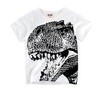 Toddler Kids Baby Boys Girls Dinosaur Shirts Short Sleeve Crewneck Cute Cartoon T Shirts Tops Tee Cotton Clothes Toddler Boy Clothes (White, 2-3 Years)