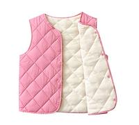 Toddler Kids Baby Boys Winter Solid Coats Sleeveless Vest Jacket Outwear Outfits Clothing, pink, 2-3 Years