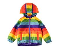 Toddler Kids Baby Grils Boys Long Sleeve Stripe Hooded Coat Tops Outfits Cute Baby Clothes (Multicolor, 4 Years)