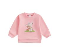 Toddler Kids Boys Girls Easter Sweatshirt Clothes Long Sleeve Rabbit Sequin Letter Embroidery Sweatshirt Shirts Pullovers Top Hoodie Easter Outfits for Little Girl (Pink Rose, 12-18 Months)