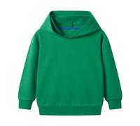 Toddler/Kids Boys/Girls Spring/Autumn Hooded Long Sleeve Cuffs Solid Color Sweatshirt Daily School Sporty Wear Sweaters for Boys (Green, 2-3 Years)