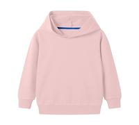 Toddler/Kids Boys/Girls Spring/Autumn Hooded Long Sleeve Cuffs Solid Color Sweatshirt Daily School Sporty Wear Sweaters for Boys (Pink, 18-24 Months)