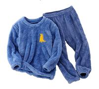 Toddler Kids Boys Girls Winter Long Sleeve Cartoon Prints Fleece Pajamas Tops Pants 2PCS Outfits Clothes Set New Born Baby Gift Set (Blue, 13-14 Years)