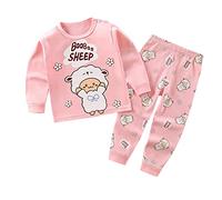Toddler Kids Infant Newborn Baby Boys Girls Long Sleeve Cartoon Tops Pj’s Pants Sleepwear Pajamas Outfits Set 2PCS Size 6 Bathrobe
