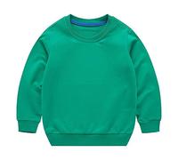 Toddler Sweatshirt Baby Boys Sweatshirts Girls Solid Color Jumpers Crewneck Jumper Kids Long Sleeve Pullover Sweater Hoodie Spring Winter 1 to 8 Years Old (Green, 18-24 Months)