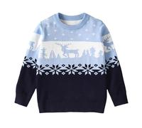 Toddlers Crew Neck Jumpers Ribbed Knit Jumper Matching Outfits Sweater Cozy Material Pullover Halloween Outfit Knitwear Embroidery Detail Top for Christmas Holiday Blue