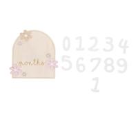 Toddmomy 1 Set Baby Monthly Milestone Signs - Daisy Flower Wood Announcement Card - Double-Sided Newborn Photo Props - Wooden Growth Record Set