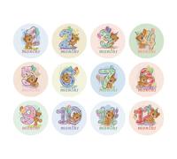 Toddmomy 12pcs Milestone Stickers for Boys, Paper Monthly Stickers That Do Not Hurt Clothing or Leave Black Glue Stain, for Shower and Capturing Monthly Growth