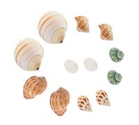 Toddmomy 12Pcs Natural Sea Snail Shells for Fish Tank Decoration Lifelike Aquarium Decor DIY Conch Adornments for Enhancing Aquatic Environments for Crab and Fish Ornaments