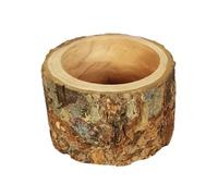 Toddmomy 1pc Pet Food Bowl Small Pets Mini Feeders Hamster Bowl Pet Feeding Bowl Color Hamster Food Bowl Puppy Bowls Dish Bowl Mice Food Bowl Hamsters Pet Wood Feeder Wooden Random Color