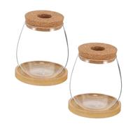 Toddmomy 2 Sets Borosilicate Glass Plant Propagation Station Indoor Hydroponic Vases with Cork Lids Minimalist Desktop Terrarium Planters for Root Growth Display and Workspace Decor