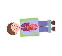 Toddmomy 2 Sets Human Organ DIY Model Kits for Educational Interactive Anatomy Craft Supplies Teaching Aid for Biology Learning and Spatial Awareness Development