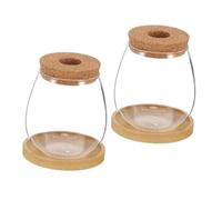 Toddmomy 2 Sets Hydroponic Glass Vase Water Propagation Planter with Bamboo Saucer Durable Borosilicate Design for Indoor Plants Tabletop Displays Easy Maintenance Engaging Root View