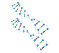 Toddmomy 2pcs Dna Double Helix Model Components Biology Structure Tool for Educational Teaching Human Genes Molecular Model Kit for Science Learning