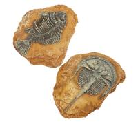 Toddmomy 2Pcs Lifelike Reptile Terrarium Decor Resin Fossil Landscape for Pets Crawling Habitat Ornament Odorless Decorative Hideout for Turtle Tortoise Vivarium