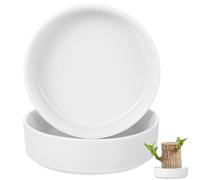 Toddmomy 2Pcs White Gloss Ceramic Saucers Plant Clay Pot Base - White Ceramic Plant Pot Saucer for Indoor Outdoor Use, Durable and Reusable