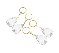 Toddmomy 4pcs Transparent Pet Hair Keepsake Keychain for Dog Lovers Memorial Storage Box for Satsuma Dog Hair Souvenir Portable Clear Holder for Preserving Cherished Memories