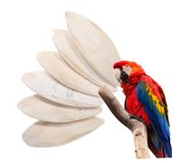 Toddmomy 6 Pcs Cuttlebone Cuttlefish Hamster Bird Cage Bird Accessories Parrot Perches Parrot Cage Cockatiel For Turtles Cockatiel Birdcage Cockatoo Fish The Birdcage Turtle Cuttlebone