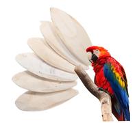 Toddmomy 6 Pcs Natural Cuttlefish Bone Chewing for Birds Safe Beak Grinding Accessories for Parakeets Cockatiels and Conures Promotes Healthy Chewing and Beak Development