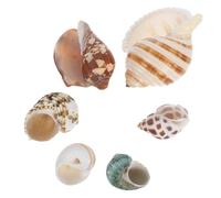 Toddmomy 6pcs Natural Seashells for Aquarium Decor Authentic Conch Shells for Fish Tank Scenery Habitat Hides for Crabs Underwater Landscaping Crafts for Freshwater Saltwater Tanks
