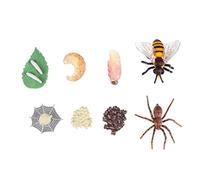 Toddmomy 8Pcs Insect Growth Model Simulation Ornaments for Bee and Life Cycle Educational Supplies for Preschool Learning and Natural Science Exploration