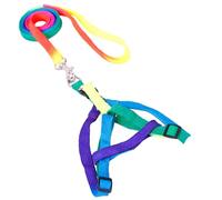 Toddmomy Adjustable Colorful Chest for Dogs and Cats Wide Leash Easy to Wear for Daily Walks and Special Occasions Rainbow Design for Stylish Random Color