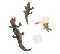 Toddmomy Alligator Life Cycle Figure Educational for Realistic Growth Model for Teaching Storytelling Birthday Christmas