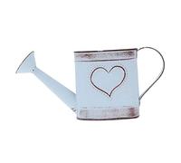 Toddmomy Antique Kettle Flower Pot Metal Watering Can Dual-Purpose Flower Arrangement Vintage Vase Galvanized Bucket French Decor Mini Kettle Rustic Home Decor Tin Iron Miniature Spout