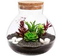 Toddmomy Clear Glass Terrarium Jar with Cork Lid, Closed Ecosystem Bottle for Succulent Plants, Round Desktop Candy Canister, DIY Micro Landscape Miniature Garden, Home Office Decor (No Plants)