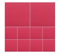Toddmomy Decorative Napkins 20 Pack 13x13 Inch Two-Layer Paper Napkins for Birthday and Reception Dinners