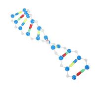 Toddmomy Dna Model Double Helix Structure Educational Kit Self Assembly Molecular Model for Biology Teaching Scientific Teaching Aid for Genetics and Cell Studies
