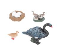 Toddmomy Educational Ocean Animal Model Realistic Miniature Swan Growth Cycle for Cognitive Biology Learning Aid for Boys and Early Childhood Development and Fun Animal Figurines