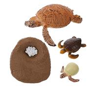 Toddmomy Educational Turtle Growth Stage Model for Realistic Plastic Animal Figures for Learning Life Cycle Multi Purpose Turtle Decoration and Early Childhood Teaching Aid