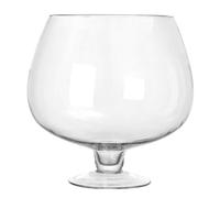 Toddmomy Large Glass Bubble Bowl, Goldfish Turtle Tank Hydroponic Flower Container Big Goblet Clear Planter Terrarium Globe Fish Bowl Flower Vase Betta Tank 4000ml
