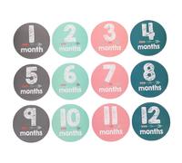 Toddmomy Monthly Stickers Milestone Stickers Photo Props for Shower Girls Boys Adorable Nursery Wall Decor Fun Milestone Tracker
