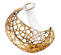 Toddmomy Nordic Style Moon Shape Vase with Golden Iron Frame and Glass Tube, Eye-catching Display and Easy to Assemble Decorative Plant Tube for House and Balcony