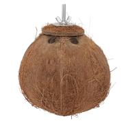 Toddmomy Pet Parrot House Natural Coconut Shell Nest Enriches Bird's Living Space Comfortable Place Stainless Steel Small Birds Nest for Caged Birds Pet Owners