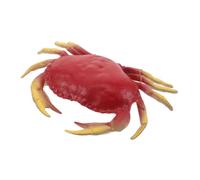 Toddmomy Realistic Crab for Adults Ocean Animal Figurine for Early Learning and Interactive Exploration Plastic Sea Creature Model for Home Decor and Educational Play
