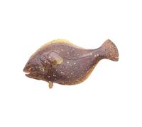 Toddmomy Realistic Simulation Fish Model Plastic for Early Education and Home Decoration Bright Colored Life Figurine for Cognitive Play and Aquarium Scene Display