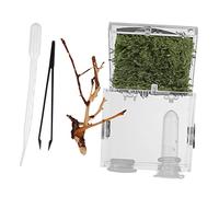 Toddmomy Reptile Breeding Box with Ventilation Durable Pet Terrarium for Insects and Small Creatures Comfortable Habitat for Florida Jumping Spiders and Other Pets