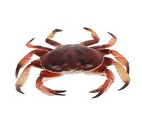 Toddmomy Simulation Crab Model Plastic Figurine Lightweight Realistic Crab Sculpture Educational Ocean Animal for Nursery Decor and Learning Activities