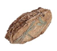 Toddmomy Terrarium Bug Specimen Decoration, Resin Insect Remnant, Brown, Educational Value, Reptile Enclosure Decor for and Science Teaching