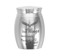 Toddmomy Tiny Urn Stainless Steel Pet Urns Pet Funerary Casket for Ashes Ashes Cat Casket Mini Silver
