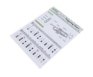 Toddmomy Trumpet Chord Chart Poster on Coated Paper Easy to Read Fingering Guide and Creative Design for Practice and Learning Musical Notes Random Color