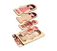 Toddmomy Wooden Human Body Constitution Puzzle for Over Multilayer Educational Puzzle with Girl Pattern Promotes Anatomy Learning and Hand Eye Coordination