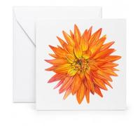 Todds Botanics Dahlia Greeting Card with Envelope - Blank Inside Floral Card for Birthdays, Thank You, Mother's Day, Sympathy, Thinking of You & Special Occasions