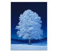 TODOAA Tree of Life Wall Art White Flowering Tree Wall Decor for Living Room Modern Home Decor Blossoms Flower Painting Poster Aesthetic Artwork Decoration(White 10)-20x30cm Unframed